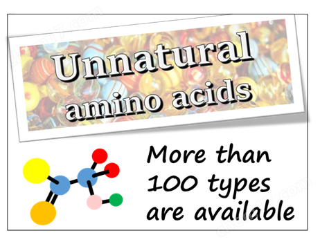 非天然氨基酸蛋白研究-Wako富士胶片和光