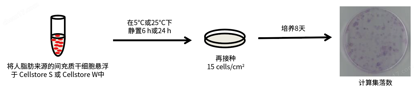 Cellstor S • Cellstor W细胞培养-Wako富士胶片和光