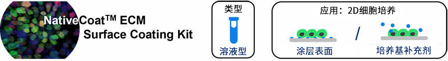 yly NativeCoat&trade; ECM（2D）细胞培养-Wako富士胶片和光