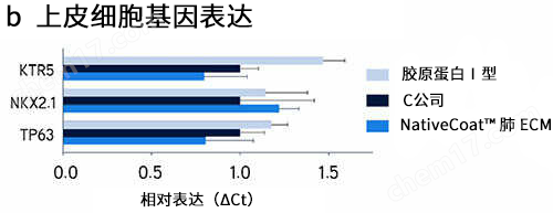 yly NativeCoat&trade; ECM（2D）细胞培养-Wako富士胶片和光