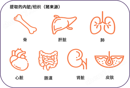 yly TissueSpec&trade; ECM水凝胶（3D）细胞培养-Wako富士胶片和光