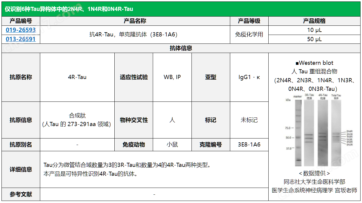 Tau 抗体系列疾病研究-Wako富士胶片和光