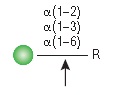 α1-2,3,6 甘露糖苷酶                                   #P0768S 80 单位