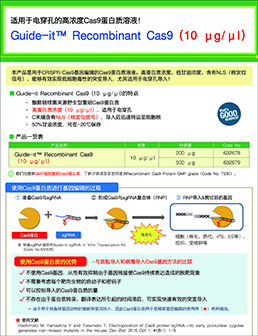 重组Cas9蛋白质 (3 μg/μl)