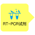 BcaBEST RT-PCR试剂盒BcaBEST&trade; RNA PCR Kit Ver.1.1