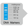 BcaBEST RT-PCR试剂盒BcaBEST&trade; RNA PCR Kit Ver.1.1