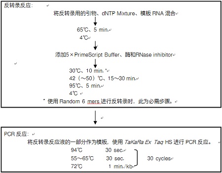 RT-PCR试剂盒PrimeScript&trade; RT-PCR Kit