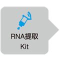 RT-qPCR外部参照试剂盒External Standard Kit (λpolyA) for qPCR