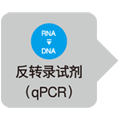 RT-qPCR外部参照试剂盒External Standard Kit (λpolyA) for qPCR