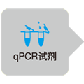 RT-qPCR外部参照试剂盒External Standard Kit (λpolyA) for qPCR