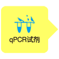 探针法定量检测试剂Probe qPCR Mix (or with UNG)