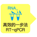 一步法RT-qPCR染料法检测试剂盒One Step TB  Green&reg; PrimeScript&trade; RT-PCR Kit II (Perfect Real Time)