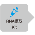 定量PCR专用快速反转录试剂PrimeScript&trade; FAST RT reagent Kit  with gDNA Eraser
