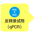 定量PCR专用快速反转录试剂PrimeScript&trade; FAST RT reagent Kit  with gDNA Eraser