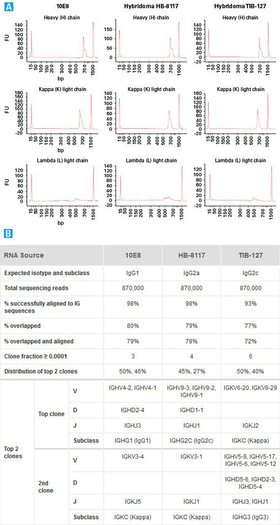 小鼠B细胞受体分析SMARTer Mouse BCR IgG H/K/L Profiling Kit