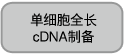 NGS文库制备ThruPLEX&reg; DNA-Seq Kit