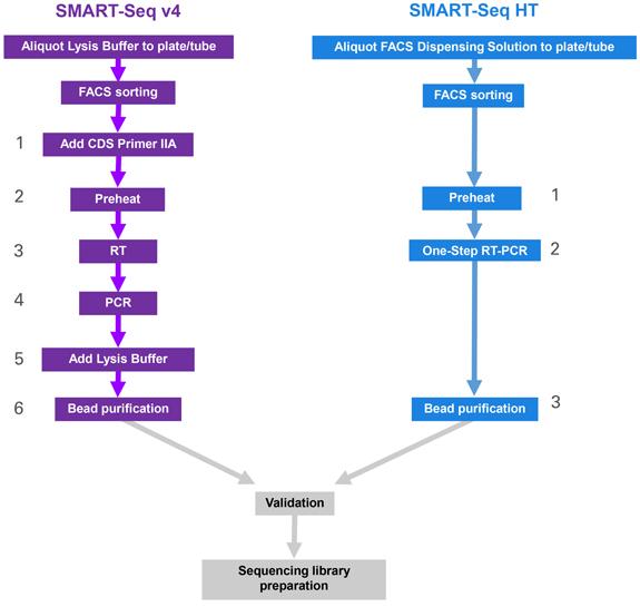 单细胞mRNA全长分析SMART-Seq HT Kit & SMART-Seq HT PLUS Kit