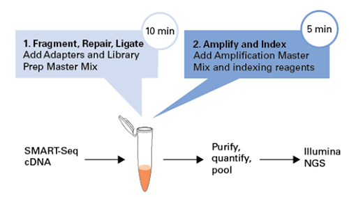 单细胞mRNA全长分析SMART-Seq HT Kit & SMART-Seq HT PLUS Kit