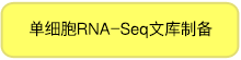 单细胞mRNA全长分析SMART-Seq Single Cell Kit & SMART-Seq Single Cell PLUS Kit
