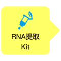 酵母RNA提取试剂Yeast Processing Reagent (for total RNA preparation)