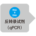 酵母RNA提取试剂Yeast Processing Reagent (for total RNA preparation)