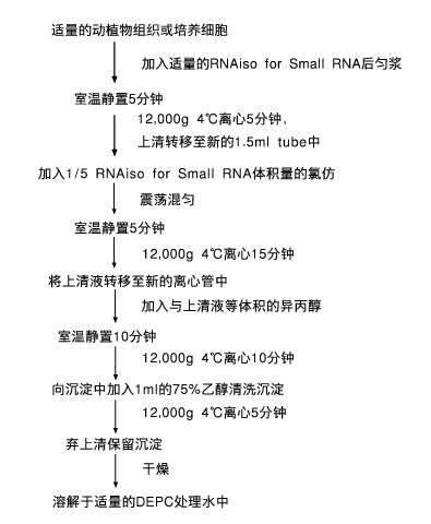 小RNA提取试剂RNAiso for Small RNA