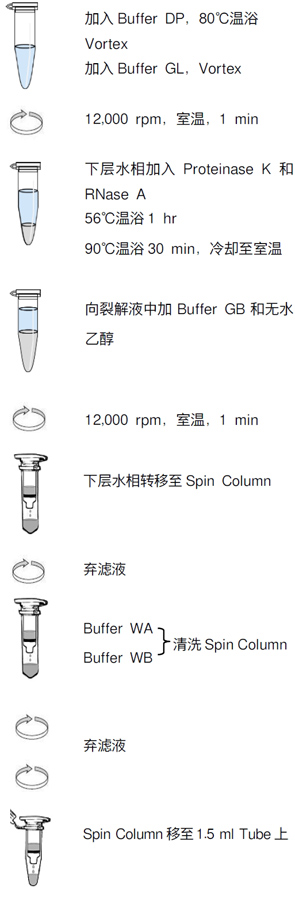 安全无毒的FFPE DNA提取试剂盒TaKaRa MiniBEST FFPE DNA Extraction Kit