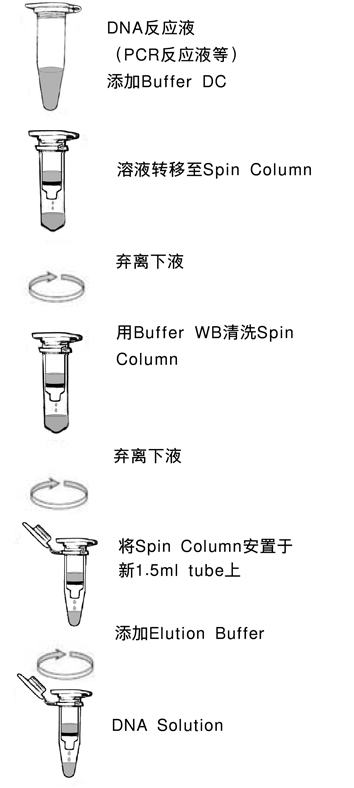 DNA片段纯化试剂盒TaKaRa MiniBEST DNA Fragment Purification Kit Ver.4.0