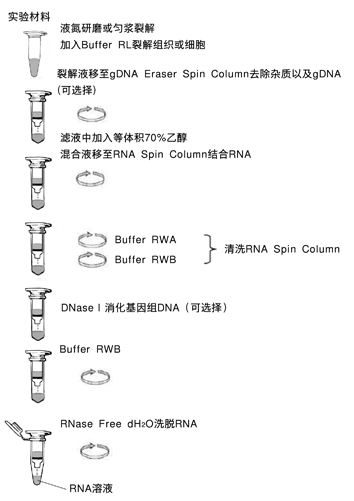 柱式法RNA提取试剂盒TaKaRa MiniBEST Universal RNA Extraction Kit