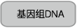 限制性快切酶QuickCut&trade; Dra I (Aha III)