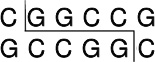 常规限制酶Eco52 I (Xma III)