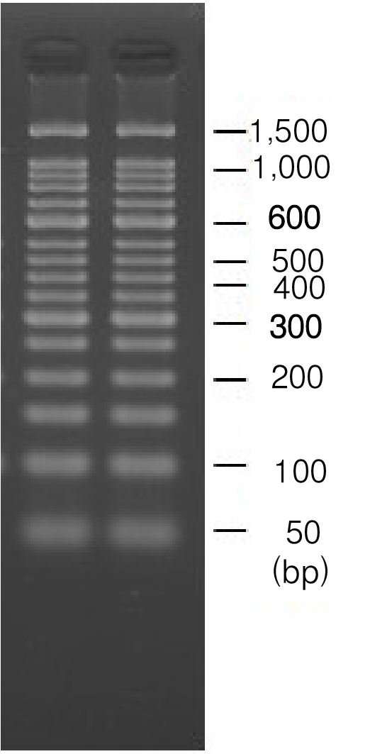 琼脂糖PrimeGel&trade; Agarose PCR-Sieve