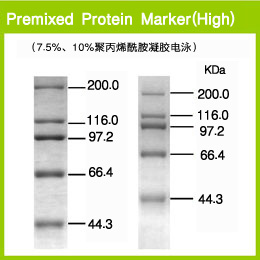 蛋白质marker-Premixed Protein Marker (High)