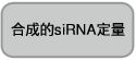 电泳用RNA marker-14-30 ssRNA Ladder Marker