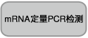 电泳用RNA marker-14-30 ssRNA Ladder Marker