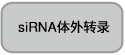 电泳用RNA marker-14-30 ssRNA Ladder Marker