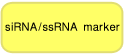 电泳用RNA marker-14-30 ssRNA Ladder Marker