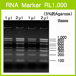 电泳用RNA marker-RNA Marker RL1,000