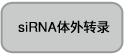 电泳用RNA marker-0.5-10 kb ssRNA Ladder Marker