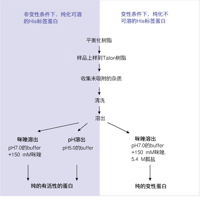 钴离子树脂