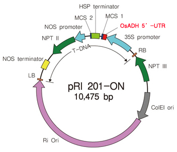 植物用双元载体pRI 201-ON DNA