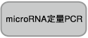 哺乳动物细胞表达载体pBApo-EF1α Pur DNA