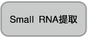 哺乳动物细胞表达载体pBApo-EF1α Neo DNA