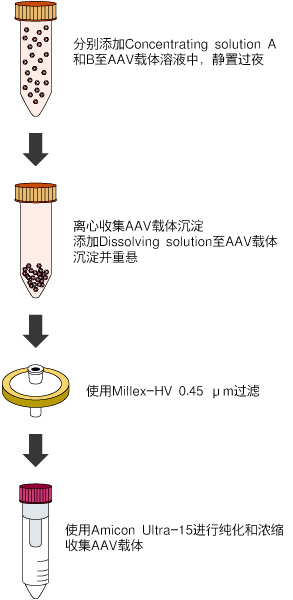 AAV载体浓缩试剂 AAVpro&reg; Concentrator