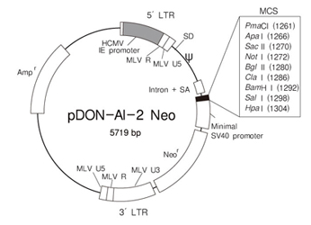 逆转录病毒载体pDON-AI-2 Neo DNA