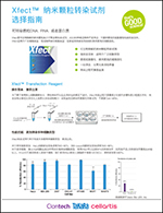 Xfect质粒转染试剂