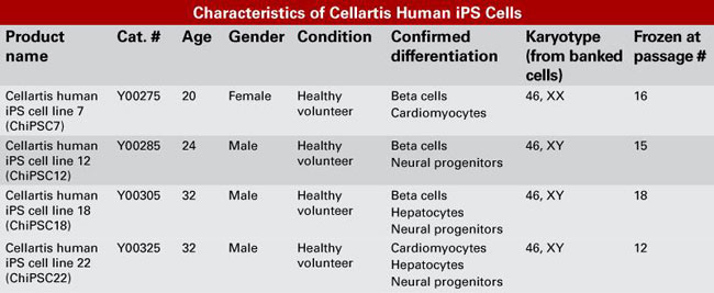 人iPS细胞Human Pluripotent Stem Cells