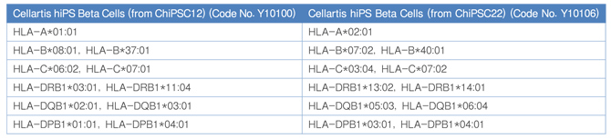 胰腺β细胞Human Stem Cell Derived Beta Cells