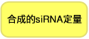 合成siRNA定量试剂盒Synthetic siRNA Quantitation Core Kit