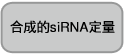 shRNA表达载体pBAsi vector series